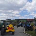 2022_kw17_fetzemarkt_do und fr_145
